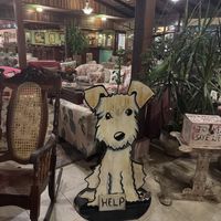   at Lands in Love - Vegan Hotel & Resort in Alajuela