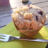 Blueberry Muffin  at Veggiezz - Am Salzgriess in Vienna