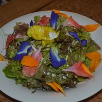 edible flower on top of a fresh salad at Buzzz Cafe in Tagbilaran