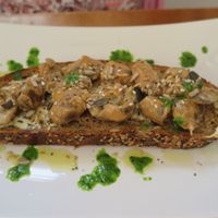 Tartine - mushrooms, white wine sauce and mustard at Dona Flor Cafe in Cascais