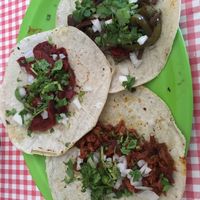 more tacos! at Veggie Table in Puerto Vallarta