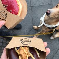 donuts #Veganuary at Brammibal's Donuts - Maybachufer in Berlin