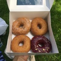 takeaway donuts (blueberry & banana, bermagot & lavender and two plain sugar) at Brammibal's Donuts - Maybachufer in Berlin