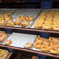 Large variété de donuts ! at Brammibal's Donuts - Maybachufer in Berlin
