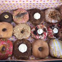 September 2019. Schoko Donut, cheesecake, tiramisu, gesalzenes Karamell Haselnuss, red velvet, mango filled, Zimt Zucker, Maple smocked Coconut, Himbeere Pistazie  at Brammibal's Donuts - Maybachufer in Berlin