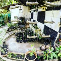 garden at EasyPower in Chumphon