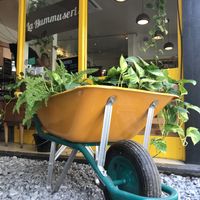 Entrance at La Hummuseria in Madrid