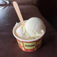 Pandan Cocunut and Salted Mango Coconut flavours   at Gelato Messina in Fitzroy