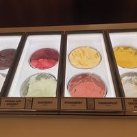 Sorbet range at Gelato Messina in Fitzroy