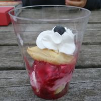 vegan dessert at Galicia in Viernheim