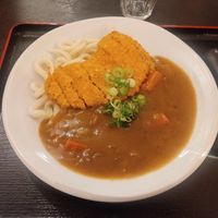 Udon katsu curry at Fou Fow Ramen in Amsterdam