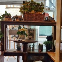 Indoor with view to the entrance at Frisch & Veg in Ingolstadt