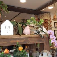 Cute decoration at the entrance. at Frisch & Veg in Ingolstadt