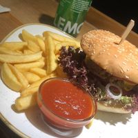 Very nice staff, fast service, big meals, good price and AMAZING taste at Franz & Willi in Weimar