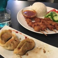 Steamed dumplings and vegan satay chicken  at Tien Hiang in Paris