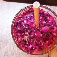 Rose Lemonade at Vegab in Krakow