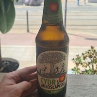 Nice local cider, beers, and a range of homemade lemonades at Vegab in Krakow