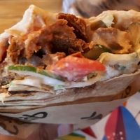 ";hamster"; vegab at Vegab in Krakow