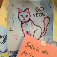  at Vegab in Krakow