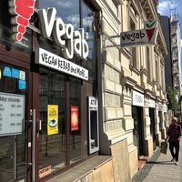   at Vegab in Krakow