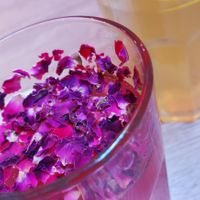 Lemonade at Vegab in Krakow