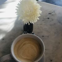Oat milk latte at Gnome Cafe in Charleston