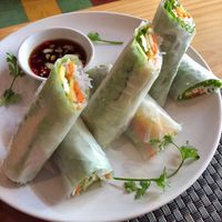Fresh spring rolls were very dry outside but was good with the sauce.  at Jalus Vegan Kitchen in Hanoi