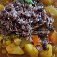 Curry at Jalus Vegan Kitchen in Hanoi