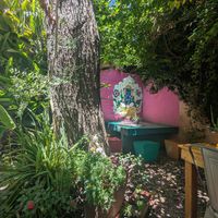 Afuera #Veganuary at La Cocina de Daksha in Tigre