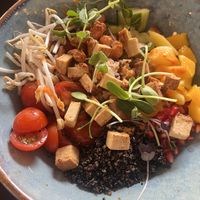 Tofu poke bowk  at cacao in Prague