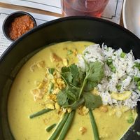 Curry at Mildreds - Camden in North West London
