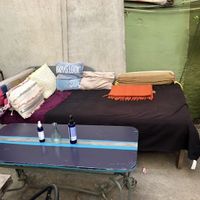   at Ital Kitchen in Brooklyn