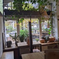 Vibe at Froindlichst - Winterhude in Hamburg