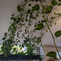 Interior at Froindlichst - Winterhude in Hamburg