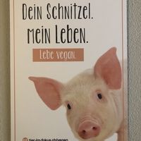 Go vegan! at Lima Limon in Bremgarten