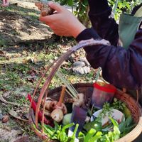  at Thai Farm Cooking School in Chiang Mai