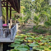  at Thai Farm Cooking School in Chiang Mai