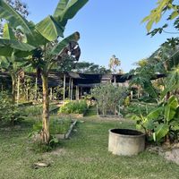 Cute farm space   at Thai Farm Cooking School in Chiang Mai
