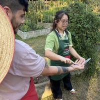   at Thai Farm Cooking School in Chiang Mai