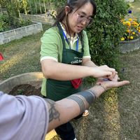   at Thai Farm Cooking School in Chiang Mai