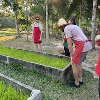   at Thai Farm Cooking School in Chiang Mai
