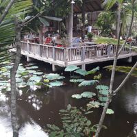 Chill out zone at Thai Farm Cooking School in Chiang Mai