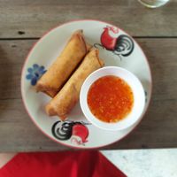 Spring rolls at Thai Farm Cooking School in Chiang Mai