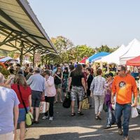 Bustling. at Bloomington Community Farmer's Market in Bloomington