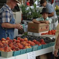 Fresh fruit!! at Bloomington Community Farmer's Market in Bloomington