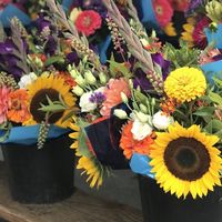 Beautiful. at Bloomington Community Farmer's Market in Bloomington
