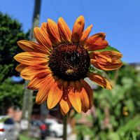 Ambiance  at Soma in Bloomington