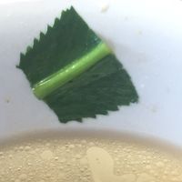 Culantro--the sign of a very authentic vietnamese restaurant. at Dharma Garden Veggie Deli in Vancouver