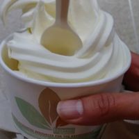 Vegan soft serving ice cream at ORD - Burrito Beach & B Smooth - T3 in Chicago