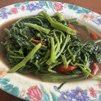 Kangkung with terasi ferns    at Lusidus in Yogyakarta